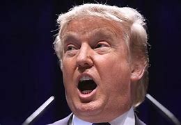 Image result for Trump Pads