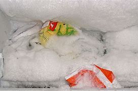 Image result for Quickly Defrost Freezer
