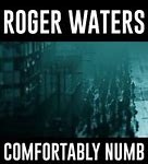 Image result for Roger Waters Bass 70s