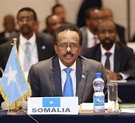 Image result for Somalia Government