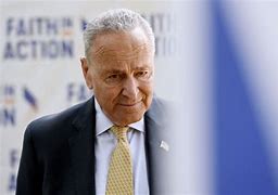 Image result for Charles Schumer Hometown