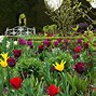 Image result for Prince Charles Garden