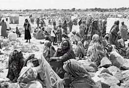 Image result for Darfur Protest