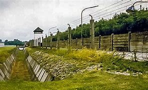 Image result for Kl Dachau Trials