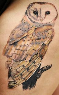 Image result for Barn Owl Tattoo
