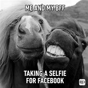 Image result for Goofy Pictures to Send to Friends
