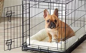 Image result for Top Paw Double Door Folding Wire Dog Crate With Divider Panel, Size: 30"L X 19"W X 21"H | Petsmart