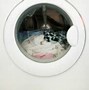 Image result for Apartment Size Clothes Washer
