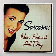 Image result for Sarcasm Posters