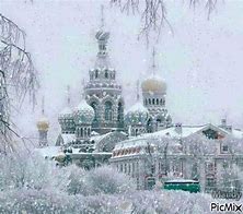 Image result for St. Petersburg Skyline