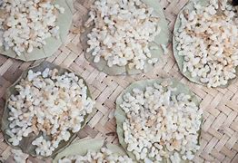 Image result for Sugar Ant Eggs