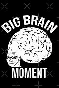 Image result for Big Brain Moment