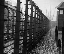 Image result for Nazi Concentration Camps