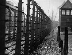 Image result for The Auschwitz Escape
