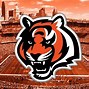 Image result for Cincinnati Bengals Zoom Background
