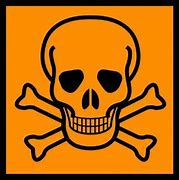 Image result for Poison Hazard Symbol