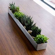 Image result for Trough Planters Indoor
