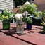Image result for Upcycle Glass Bottles