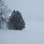 Image result for Too Much Snow Funny