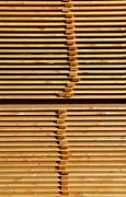 Image result for Lumber Lowe's Bundle