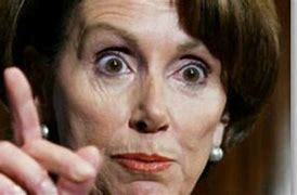 Image result for Pelosi Meme Right to Protest