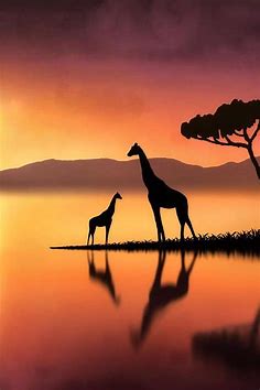 Soo pretty | Giraffe art, African sunset, Silhouette painting
