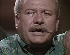Image result for David Ford Actor