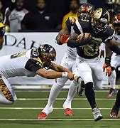 Image result for Arena Football League