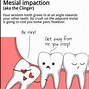 Image result for Wisdom Tooth Comic