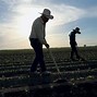 Image result for Mexican Migrant Farm Workers