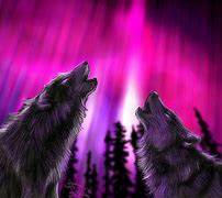 Image result for Cool Pink Wolf