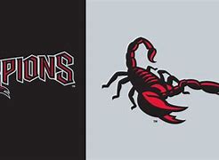 Image result for Scottsdale Scorpions 2019