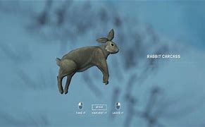 Image result for Rabbit Snare the Long Dark