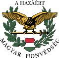 Image result for Hungarian Bombers WW2