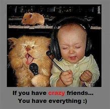Image result for Funny Friendship