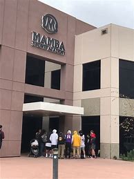 Image result for Kobe and Mamba Sports Academy