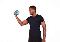 Image result for Concentration Bicep Curl