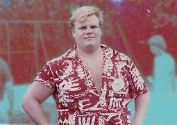 Image result for Chris Farley Costume Hair