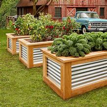 Image result for raised planters box