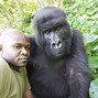 Image result for Gorilla with Down Syndrome