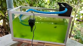 Image result for Fish Tank Filter Setup