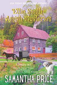 Image result for Amish Mystery Books