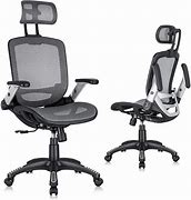 Image result for Ergonomic Mesh Desk Chair