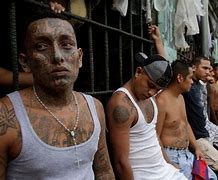 Image result for Most Dangerous Gangs Documentary