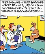 Image result for Animal Food Jokes Cartoons