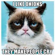 Image result for Grumpy Cat Funny Memes Clean