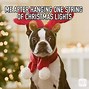 Image result for Day After Christmas Funny