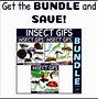 Image result for Cool Animated Insect