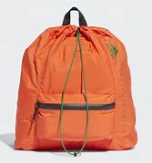 Image result for Adidas Stella McCartney Tan Gym Bag