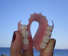 Image result for Flipper Teeth